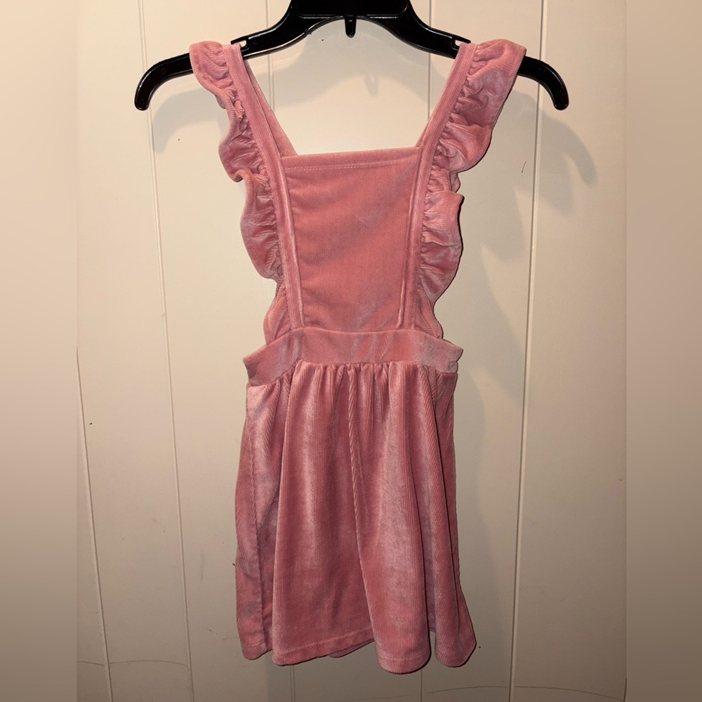 Colette Lilly Pink Soft Apron Style Girls Dress with Ruffle Sleeves